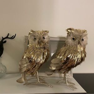 2 large gold owls